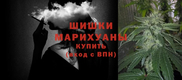 apvp Снежинск