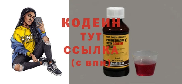 apvp Снежинск