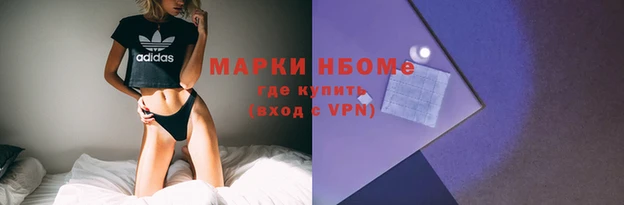 apvp Снежинск