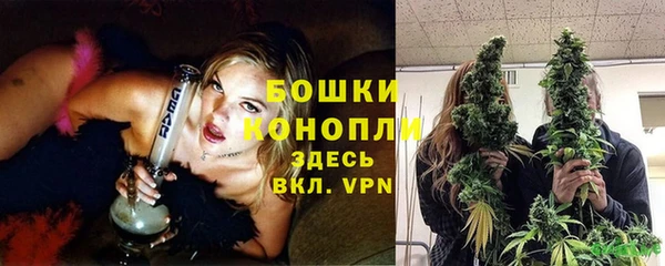 apvp Снежинск