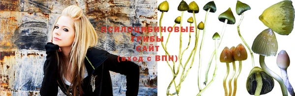 apvp Снежинск
