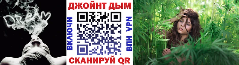 Каннабис план Саянск